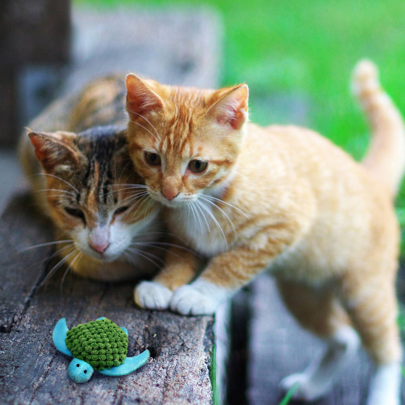 Kong Kat Catnip Turtle 9X1,5X10 Cm