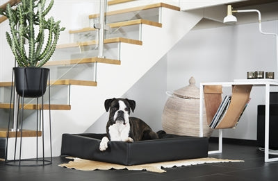 Bia Bed Hondenmand Original Zwart Bia-7 120X100X15 Cm