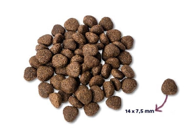 Renske Super Premium Adult Zalm Graanvrij Hypoallergeen 2 Kg
