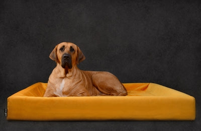 Bia Bed Royal Fluweel Hoes Voor Hondenmand Oker Bia-50 60X50X12 Cm