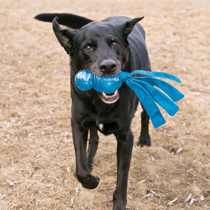 Kong Wubba Comet