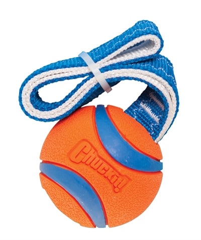 Chuckit Ultra Tug Small 25X5X5 Cm