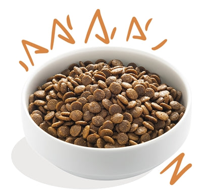 Edgard & Cooper Adult Verse Scharrelkip Graanvrij 2,5 Kg