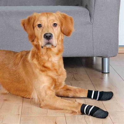 Trixie Hondensokken Anti-Slip Met Rubberlaag Rondom Zwart Xs-S 2 St