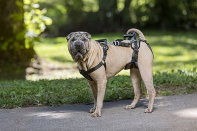 Solvit Petsafe Carelift Voor En Achter Medium