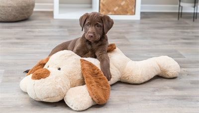Trixie Knuffel Hondbenny Pluche Beige / Bruin 75 Cm