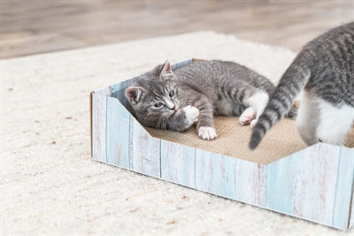 Trixie Krabmand Karton Catnip Turquoise 45X33X12 Cm