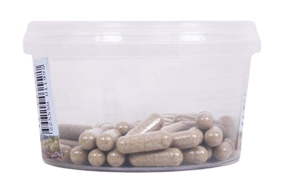 Dierendrogist Echinacea Bio Capsules 50 St