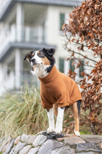 Trixie Citystyle Hondentrui Sweatshirt Amsterdam Roest 33 Cm