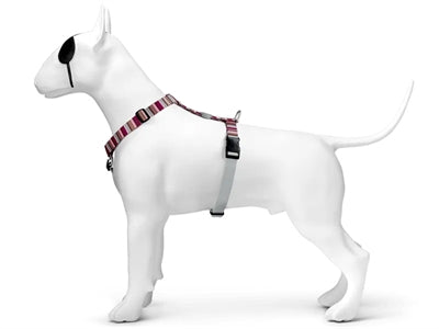 Morso Hondentuig H-Tuig Gerecycled Skyline Rood / Roze 40-55X1,5 Cm