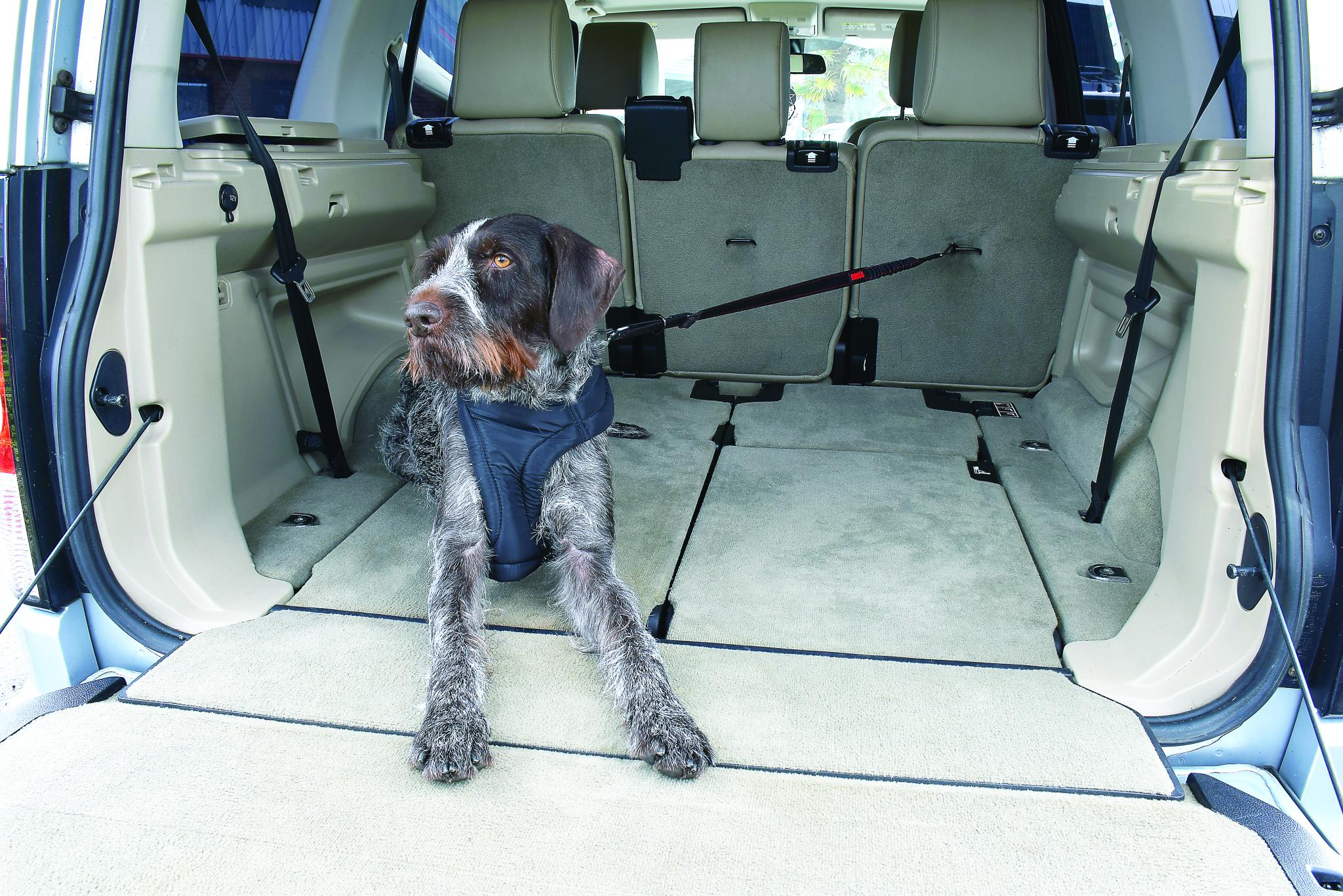 Kong Autogordel Hond Cargo Swivel 11X3,1X29 Cm