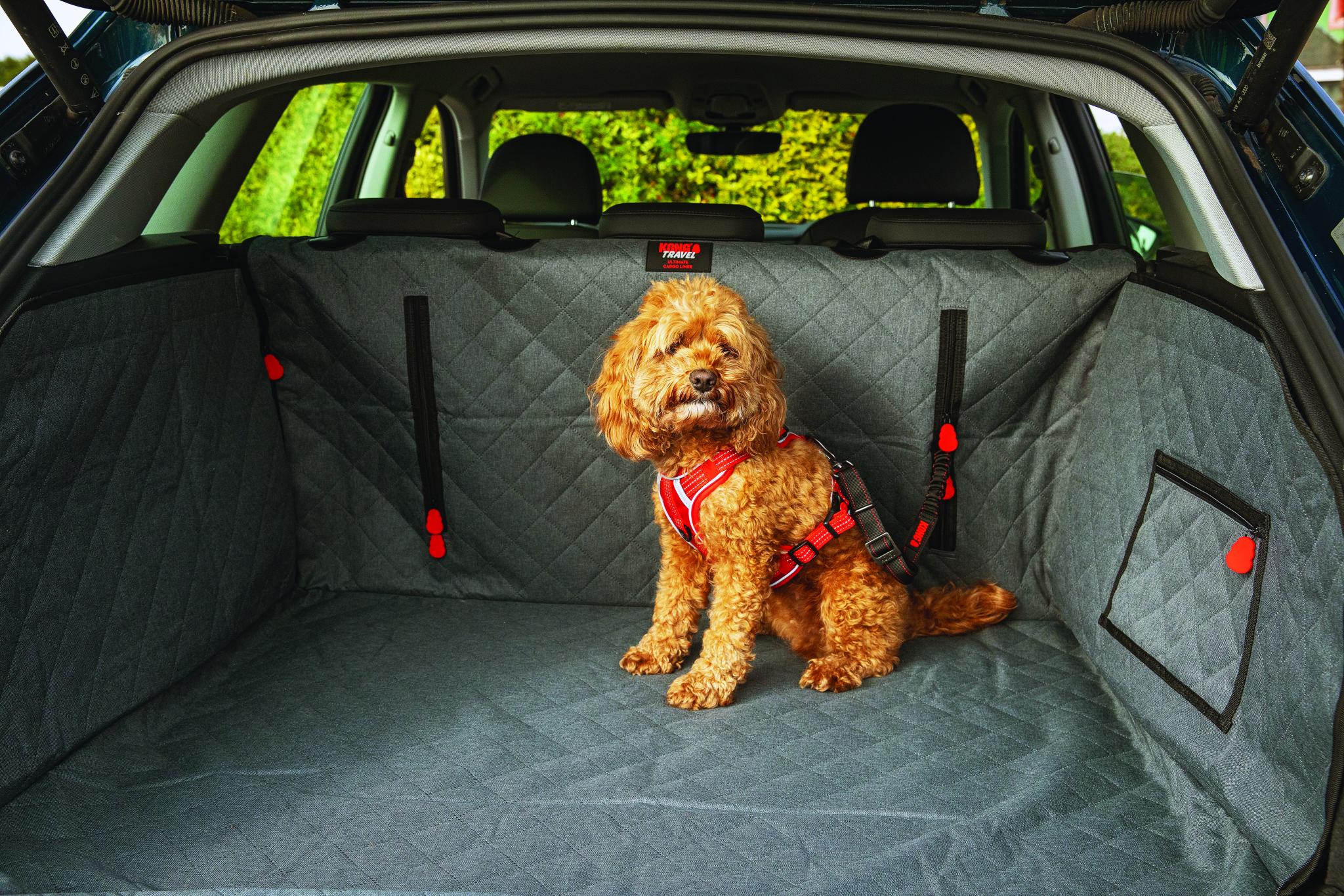 Kong Ultimate Cargo Auto Hondendeken 82X110X45 Cm