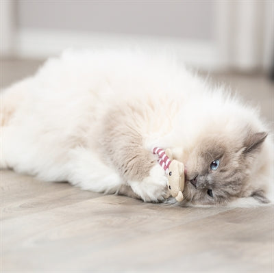 Trixie Beer Stof Met Catnip 12 Cm