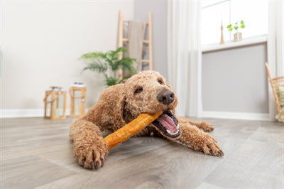 Trixie Denta Fun Roll Van Collageen Met Kip 165 Gr