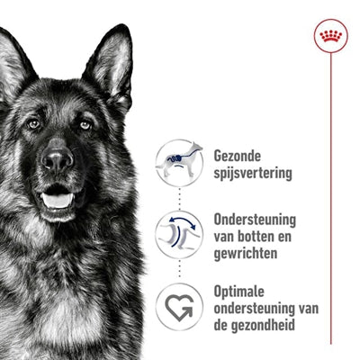 Royal Canin Maxi Adult 15 Kg