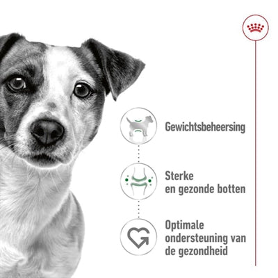 Royal Canin Mini Adult 2 Kg