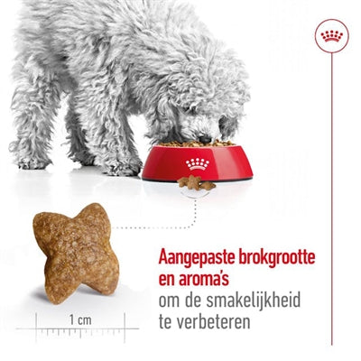 Royal Canin Mini Adult 2 Kg