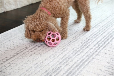 Jw Hol-Ee Roller Trend-Ee Roze 7,5X7,5X7,5 Cm