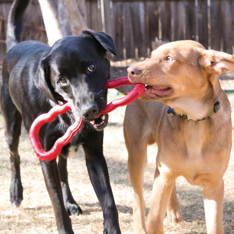 Kong Tug Toy 32,5X11,5X2,5Cm 11,5X2,5X32,5 Cm