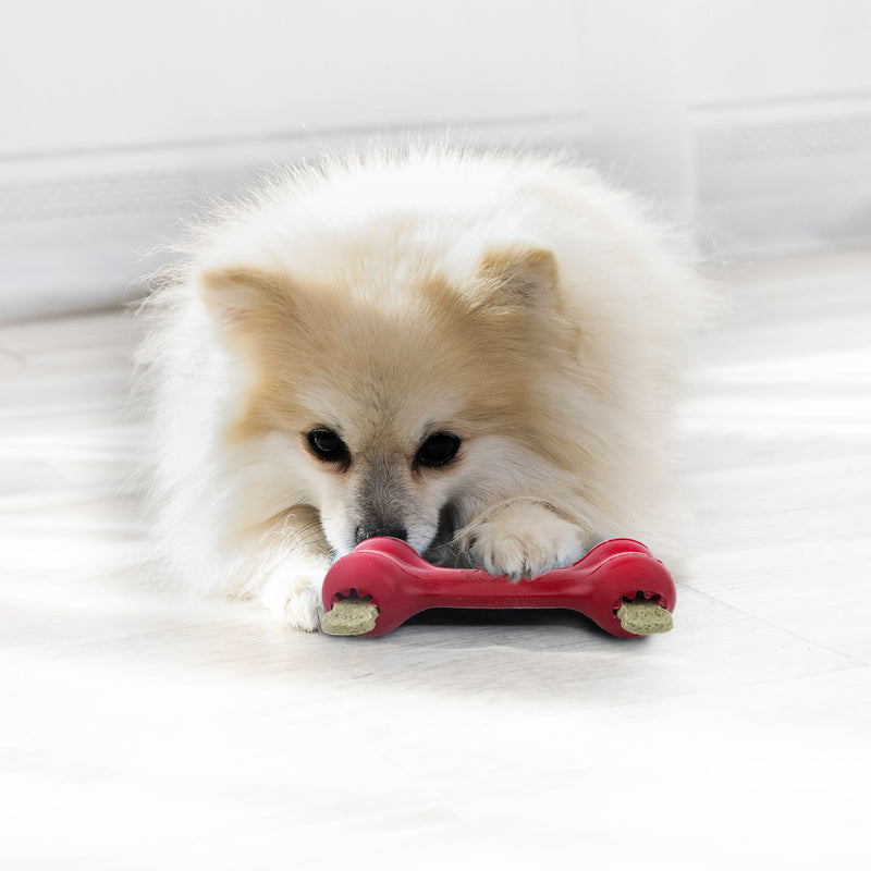 Kong Goodie Bone