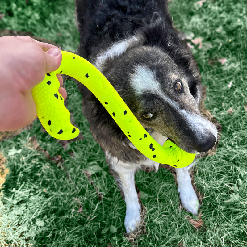 Kong Reflex Tug 'N Fetch 30,5X13,5X5,5 Cm