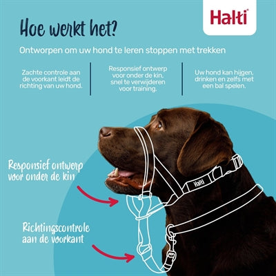 The Company Of Animals Company Of Animals Halti Headcollar Zwart Nr 3