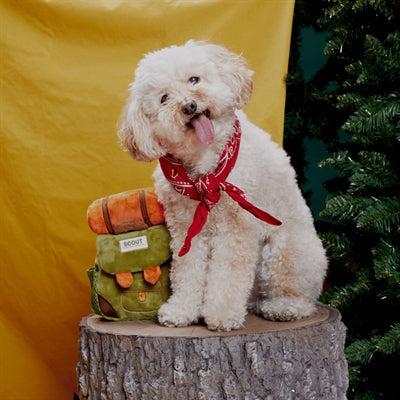 Bark Rowdy Ruckus Pluche Snack Rugzak Hide & Seek Groen 20X17X8 Cm Tot 20 Kg