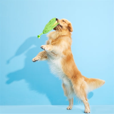 Bark Corn On The Slob Maiskolf Tug Toy Pluche 34X14,5X4 Cm 10-20 Kg