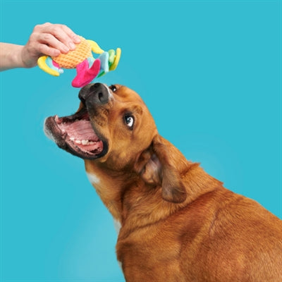 Bark Ahi Tina Regenboos Vis Pluche 26X18X6 Cm Tot 10 Kg