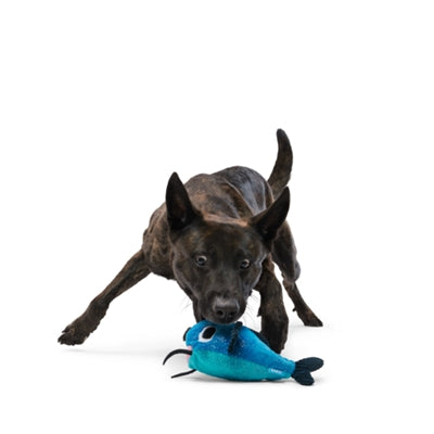 Bark Catfisch Claude Meerval Hide & Seek Pluche Blauw 21,5X24X11 Cm