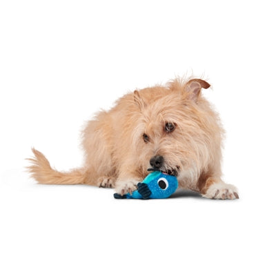 Bark Catfisch Claude Meerval Hide & Seek Pluche Blauw 21,5X24X11 Cm