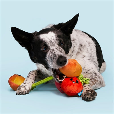 Bark Hairloom Tomaten Aan Flostouw Pluche 31X9X6 Cm Tot 20 Kg