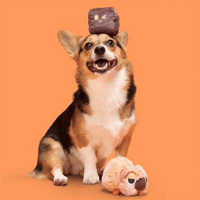 Bark Walken Wombat Pluche Oranje 22X15X8 Cm Tot 20 Kg