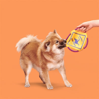 Bark Kangaroo Tossing Frisbee Met Flostouw 33X25X2 Cm