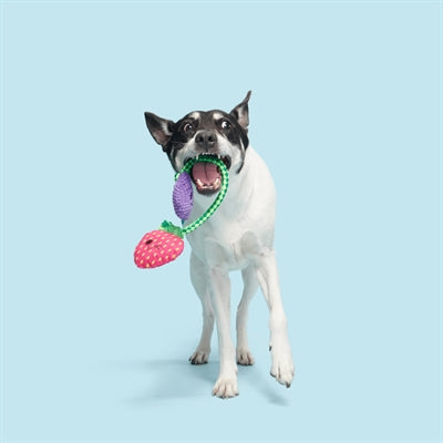 Bark Best Berry Friends Aardbei En Bosbes Pluche Met Flostouw 22X26X5 Cm