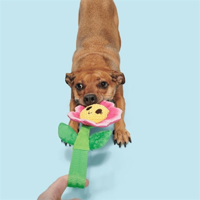 Bark Penny Pechewnia Bloem Pluche Roze / Geel 24X14X4 Cm Tot 20 Kg