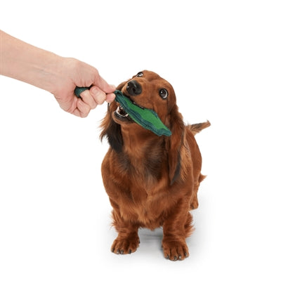 Bark A Green Chew Leaf Boomblad Super Chewer Groen 25X14,5X5 Cm Tot 10 Kg