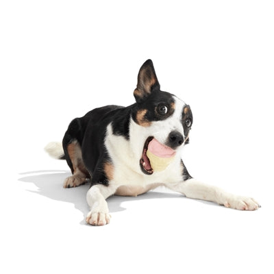 Bark I-Squeak Cone Ijsje Super Chewer Rubber Roze / Bruin 22X14X89 Cm >10 Kg