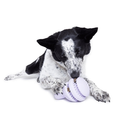 Bark Hippie Hopper Konijn Pluche Met Rubber Oren Blauw / Paars 24X15X10 Cm >10 Kg