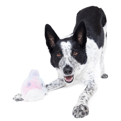 Bark Hippie Hopper Konijn Pluche Met Rubber Oren Blauw / Paars 24X15X10 Cm >10 Kg