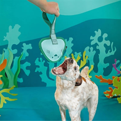 Bark Flingray Pijlstaartrog Super Chewer 32X17X5 Cm >20 Kg