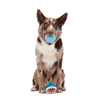 Bark Great White Dwight Haai Super Chewer 22,5X14,5X12 Cm >20 Kg