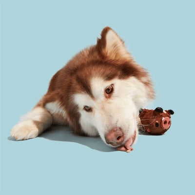 Bark Wild Boris Zwijn Super Chewer 10X9X9 Cm