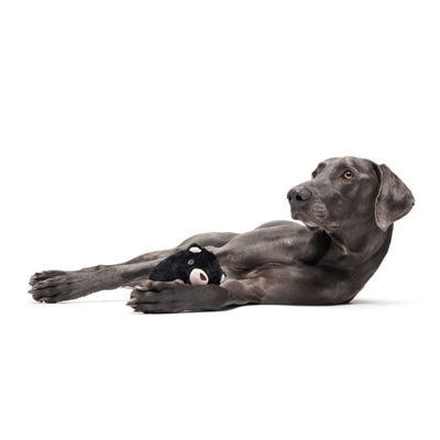 Bark Black Bear Bones Super Chewer 13X9X7 Cm