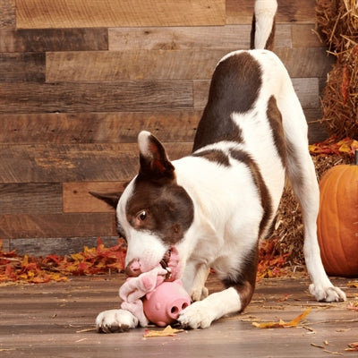 Bark Hambone Varken Super Chewer 9X9X8 Cm