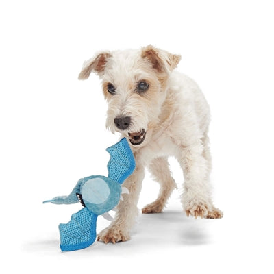 Bark Brrrtha The Dragon Super Chewer 19X9X6 Cm