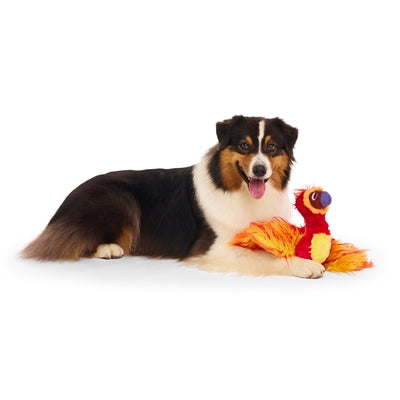 Bark Fawkes Harry Potter Pluche 50X36X8 Cm