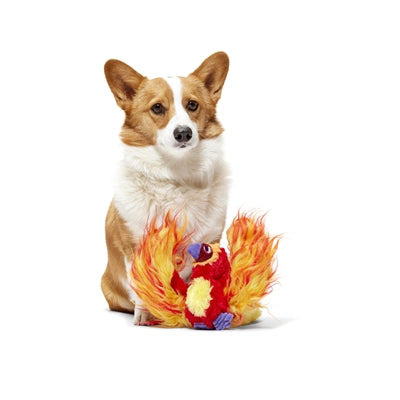 Bark Fawkes Harry Potter Pluche 50X36X8 Cm