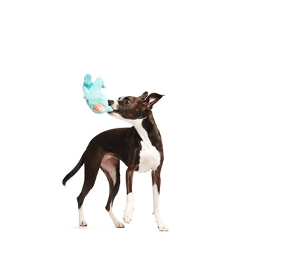 Bark Party Monster Marty Birthday Pluche 36X20X7 Cm