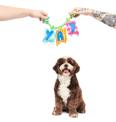Bark Happy Yay Banner Birthday Pluche 36X25X6 Cm